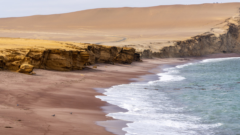 Playa Rojo à Paracas, Pérou