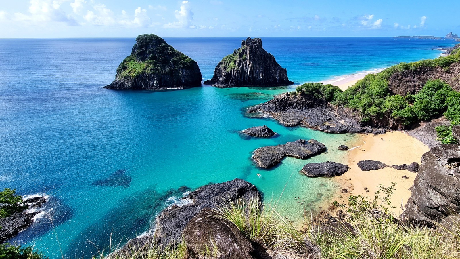 Nagez dans des eaux cristallines avec une vie marine diversifiée sur cette île brésilienne, un joyau caché