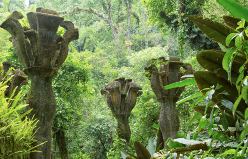 L'un des espaces surréalistes les plus importants du Mexique est un jardin de jungle secret offrant des vues oniriques