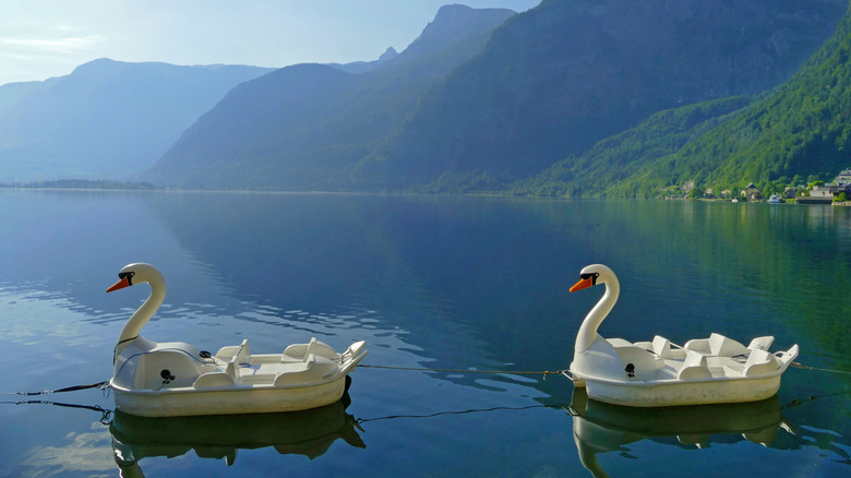 Bateaux-cygnes sur le lac de Hallstatt en Autriche