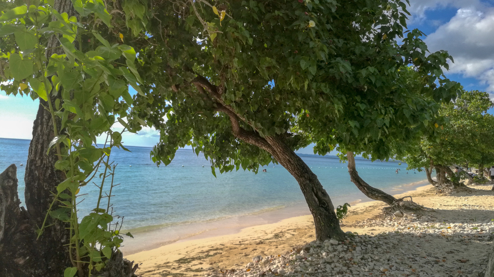 Le « joyau local caché » de la Jamaïque est une étendue captivante de la côte caraïbe pour échapper aux foules