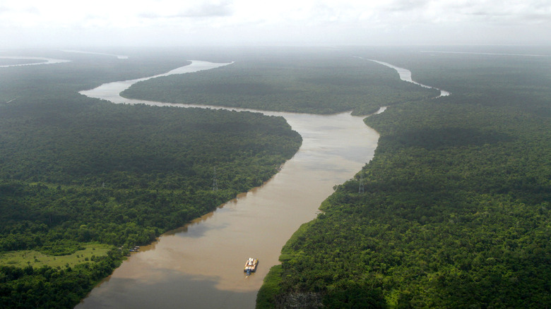 Vue aérienne d'un bateau sur le fleuve Amazone