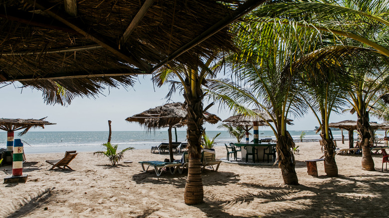 Parasols et palmiers sur la côte gambienne