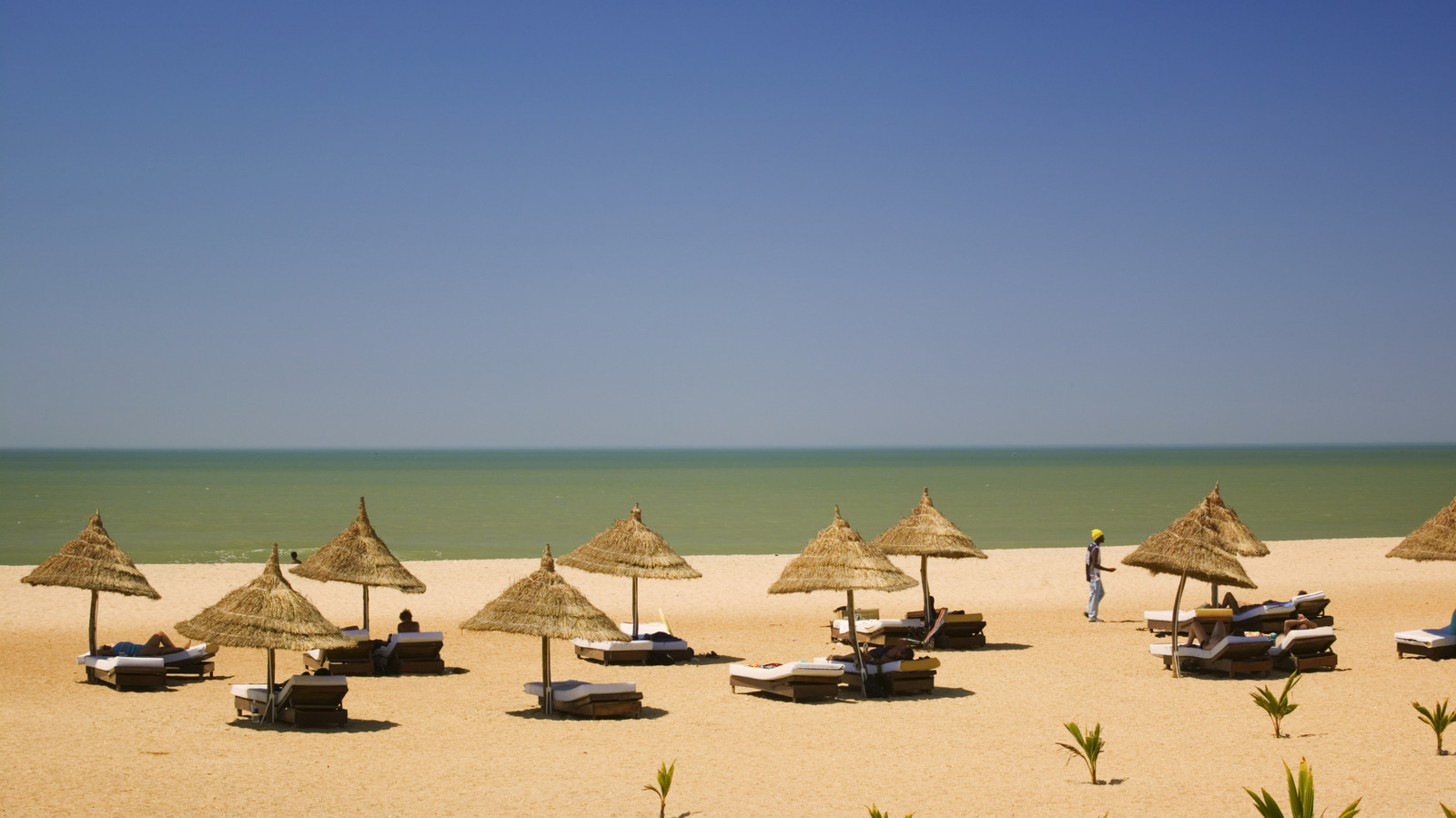 Le plus petit pays continental d'Afrique offre des plages dorées, une faune diversifiée et beaucoup de soleil