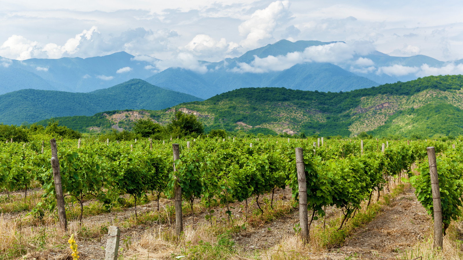 Le berceau du vin se trouve dans ce pays inattendu
