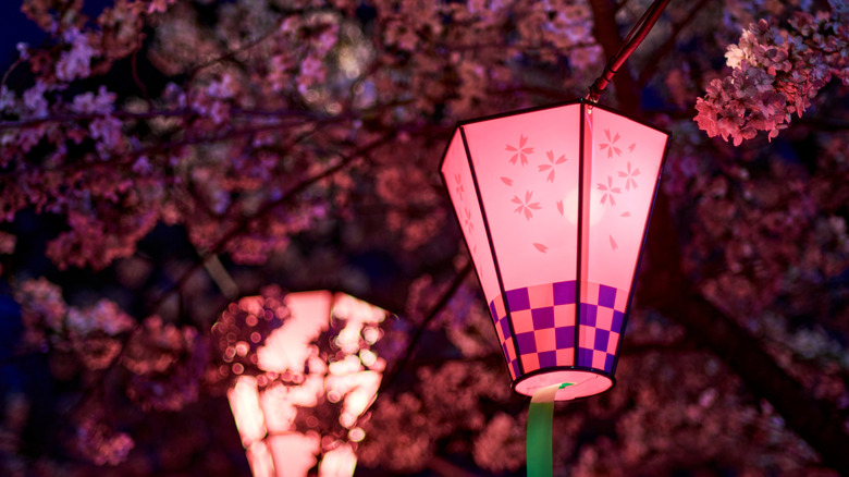 Lanternes décoratives pour yozakura lors des festivals d'observation des fleurs à travers le Japon.