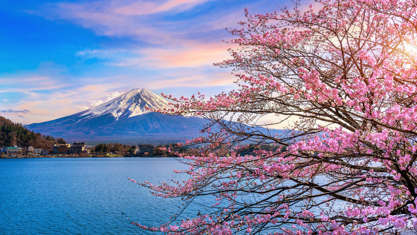 La meilleure période de l’année pour visiter le Japon et admirer les fleurs de cerisier
