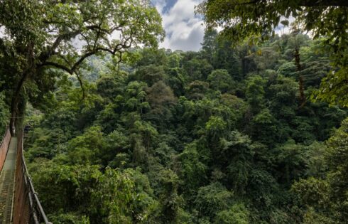 Le Costa Rica abrite l'une des « propriétés les plus diversifiées biologiquement » d'Amérique centrale à explorer
