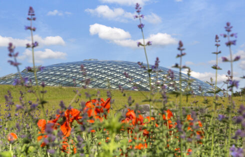 La plus grande serre à une seule place au monde est un jardin et un parc extrêmement impressionnants au Pays de Galles