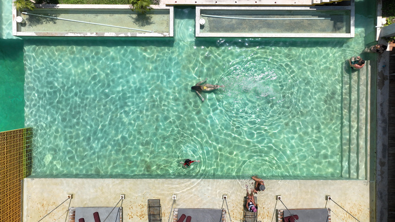 Vue aérienne des invités nageant dans une piscine verte
