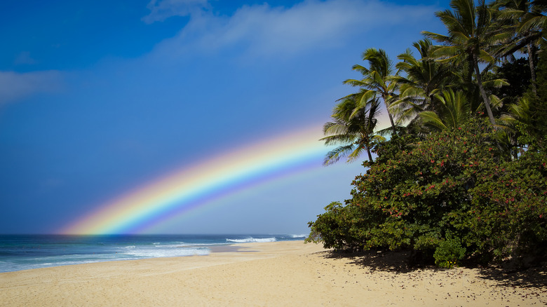 Rainbow à Sandy Beach à Oahu