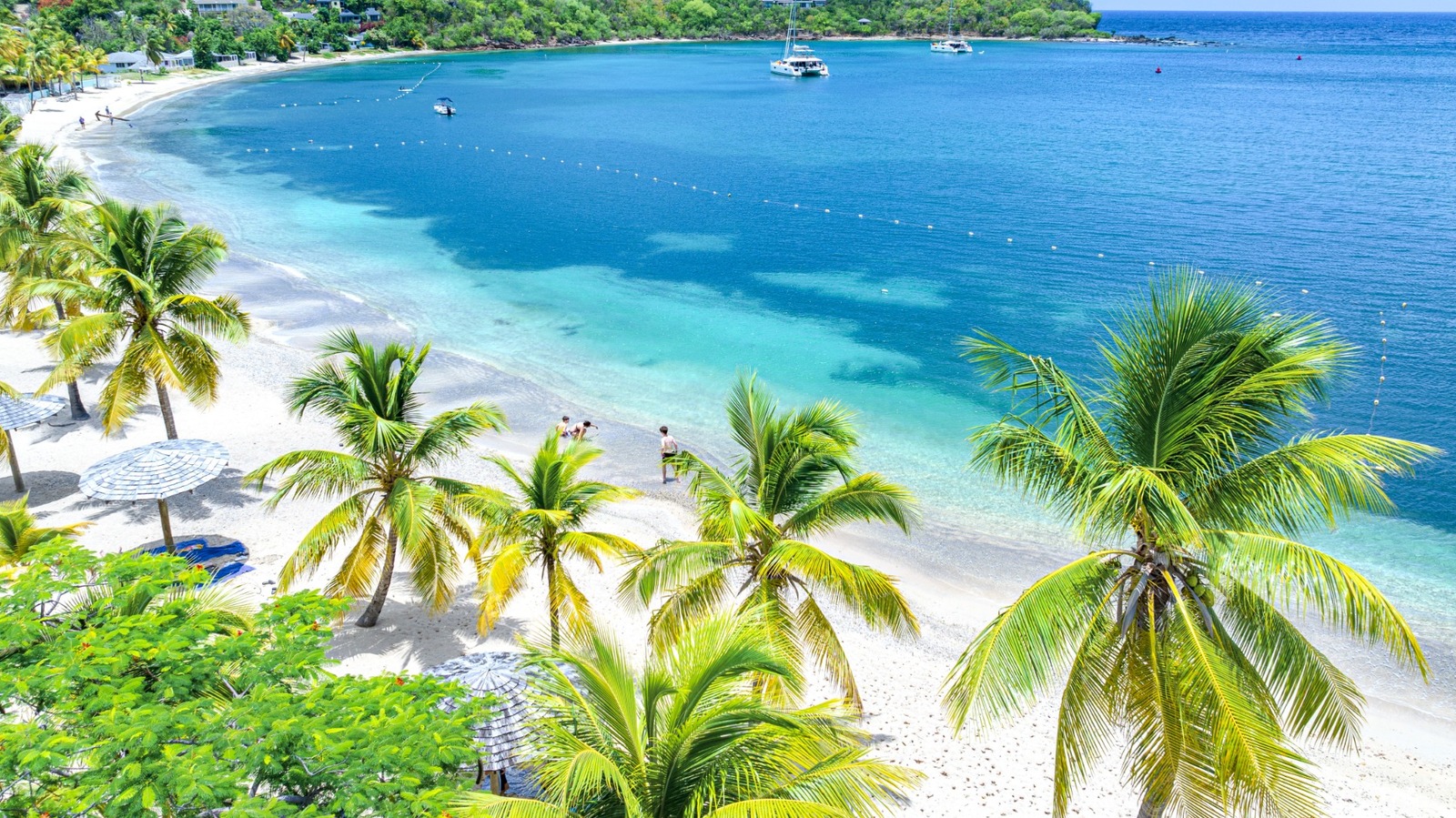 L'une des meilleures attractions d'Antigua est une plage d'eau claire adaptée à la famille où vous pouvez passer du temps avec Stingrays