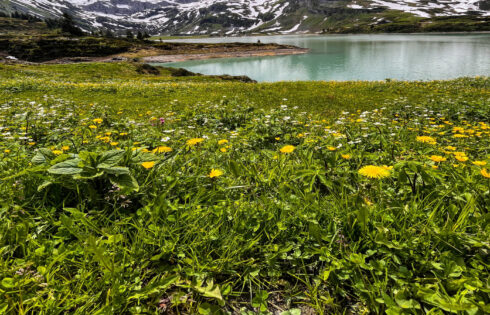 Un hôtel suisse historique surplombant les Alpes enneigées et les villages charmants est un joyau alpin caché