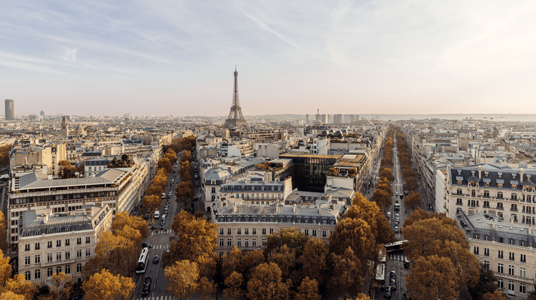 Paris avec la tour Eiffel et les bâtiments environnants