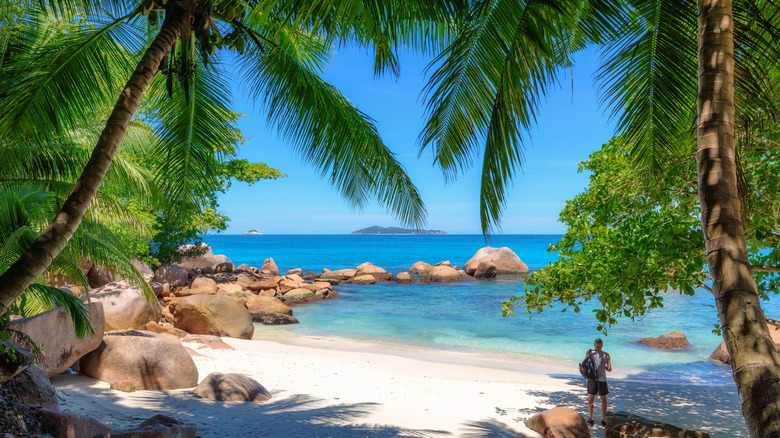 Un homme debout sur la plage d'Anse Georgette à midi