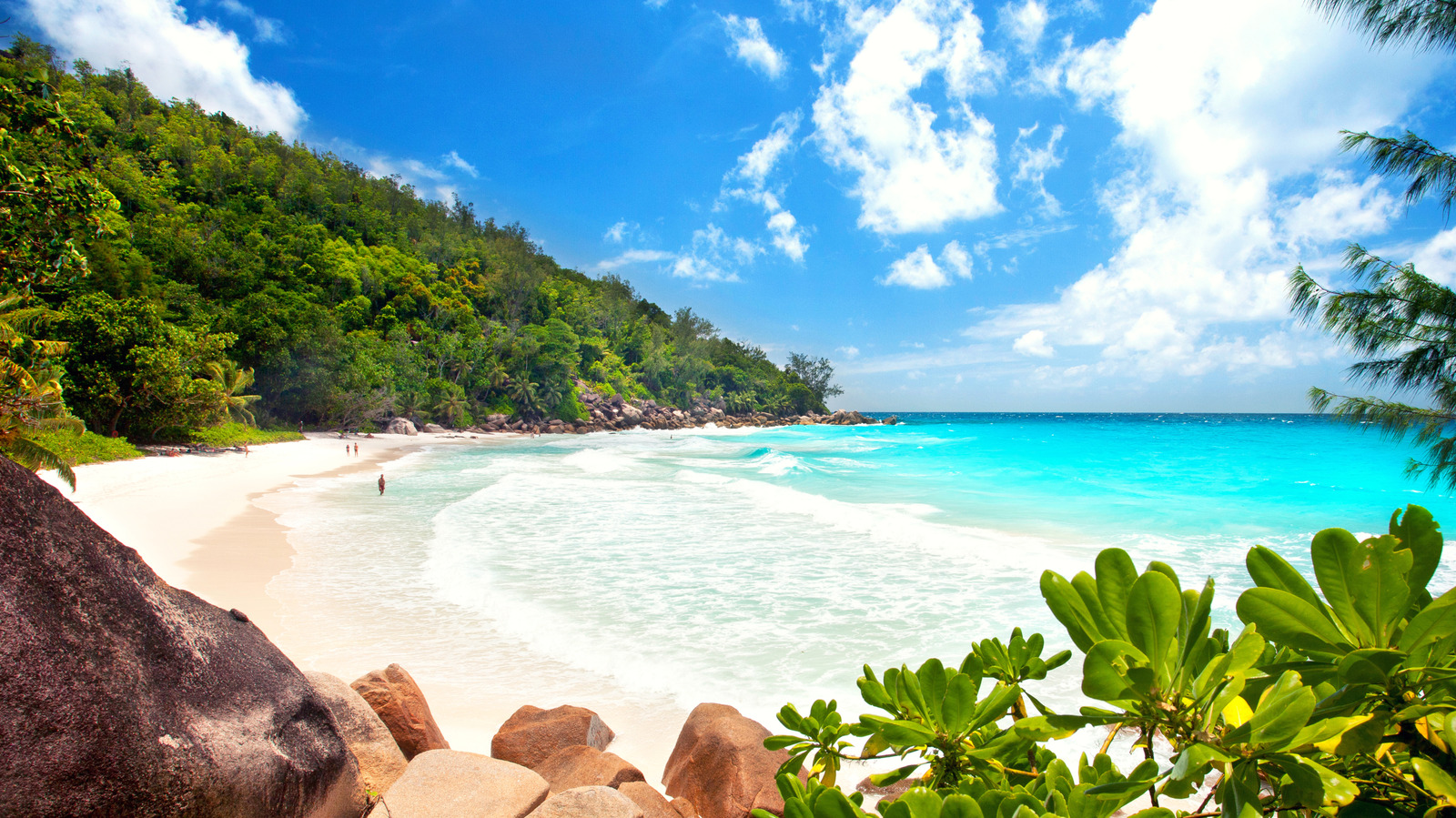 L'une des plages les mieux classées au monde offre une beauté préservée et une plongée en apnée dans les Seychelles