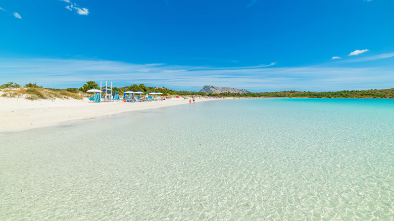 Vue des eaux cristallines de Cala Brandinchi sur la Sardaigne