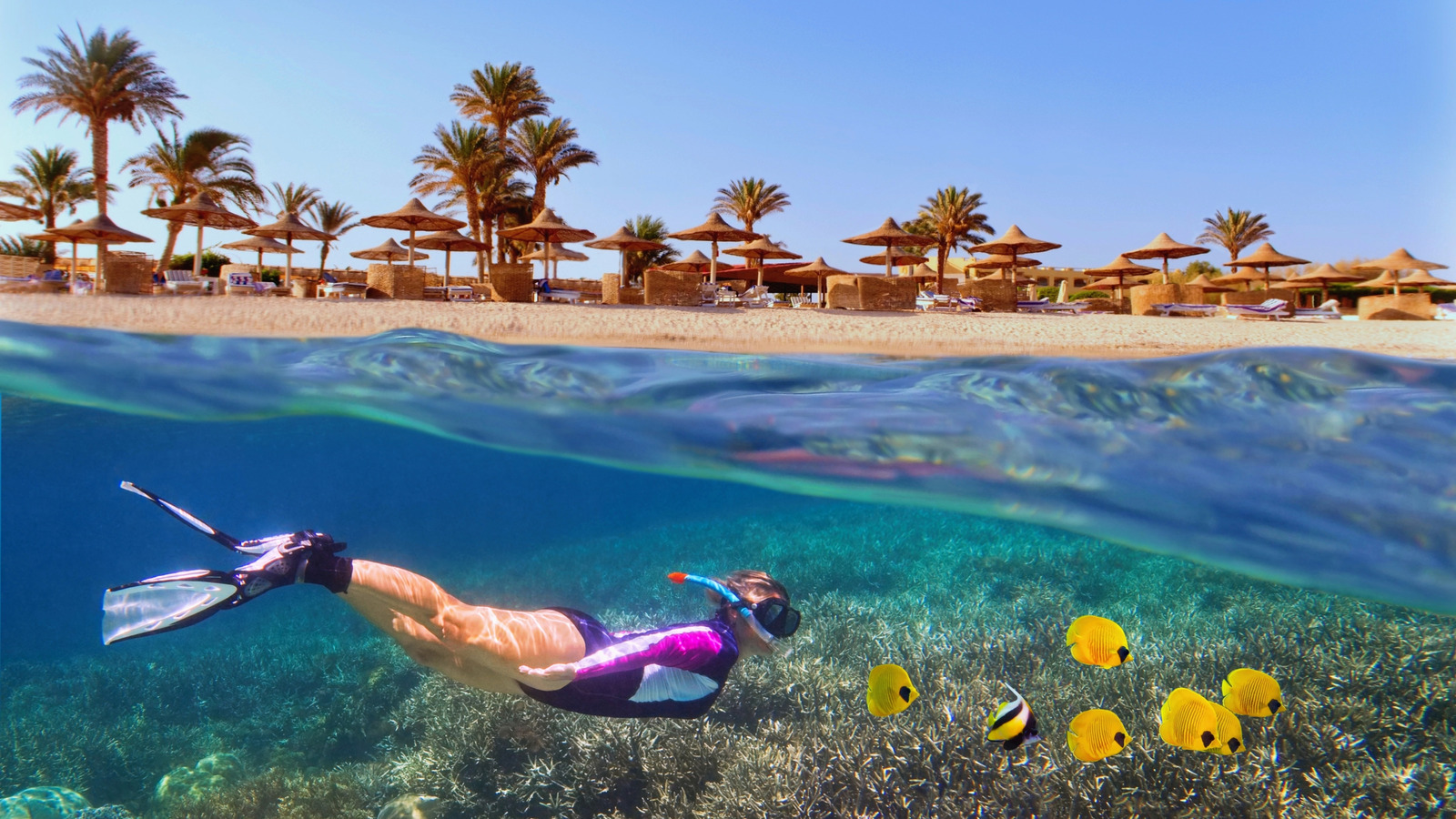 La «Riviera» tropicale de l'Égypte est une alternative abordable aux Caraïbes pour le soleil et la plongée en apnée