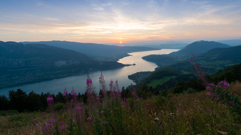 Coucher du soleil sur les champs de fleurs sauvages et le lac Annecy