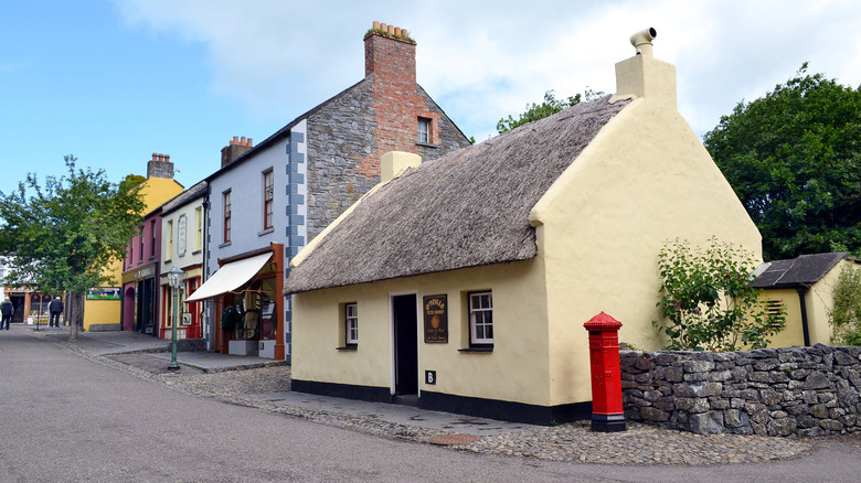 Maisons et entreprises historiques qui bordent Village Street à Bunratty Folk Park