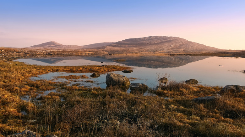Vues sur le parc national de Burren en Irlande contre un ciel du soir rose