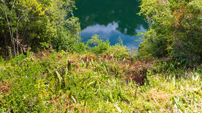 Parc national de Los Tres Ojos à Santo Domingo, République dominicaine
