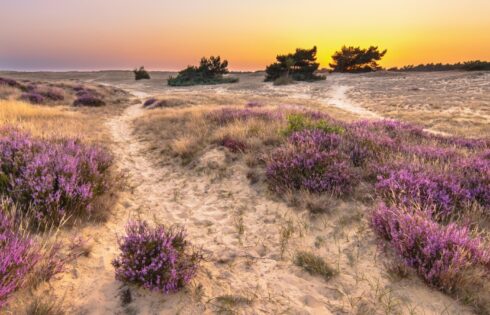 L'une des réserves naturelles les plus célèbres des Pays-Bas est un parc géant mélangeant de l'art et de la beauté naturelle de l'art et de la beauté naturelle