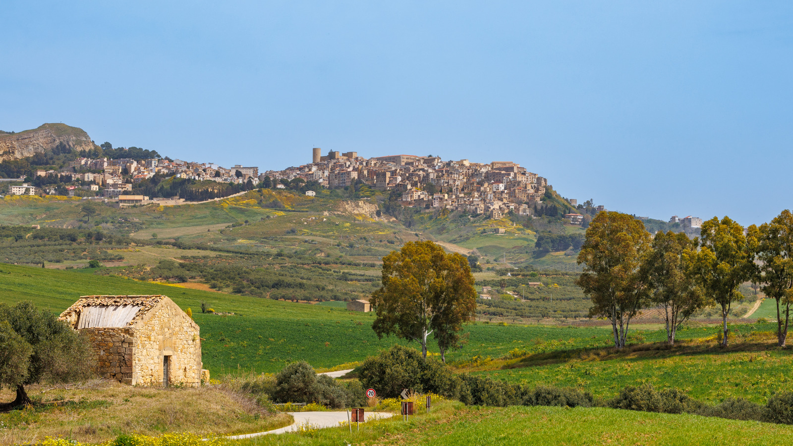 Ce village sicilien occidental est un joyau chaleureux, amical et sous-estimé de collines et d'oliviers