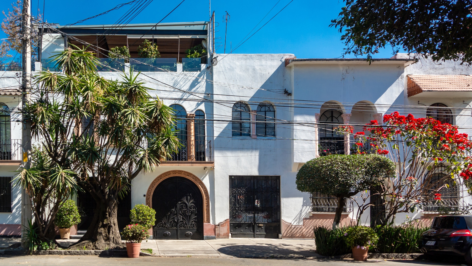 Caché dans le centre-ville de Mexico vibrant se trouve une enclave feuillue avec des vibrations bohème de la plage de Miami