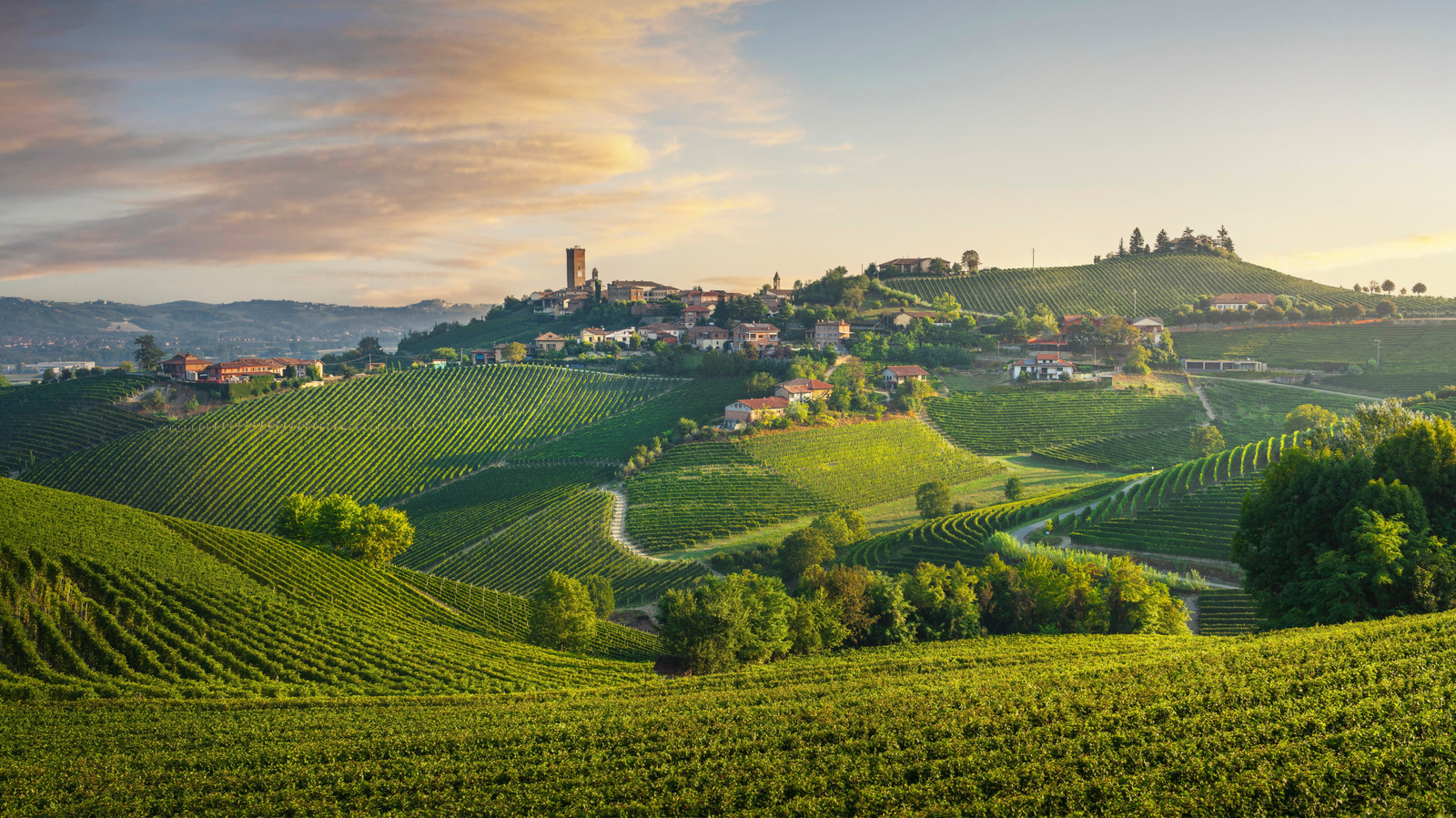 La célèbre région viticole élégante du nord-ouest de l'Italie est connue pour ses rouges complexes, les collines sereins, le fromage et les truffes