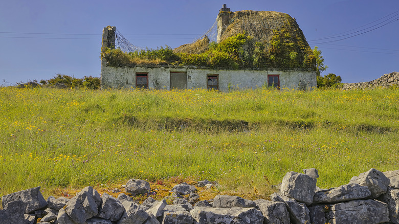 Une maison abandonnée envahie par des plantes dans une île irlandaise