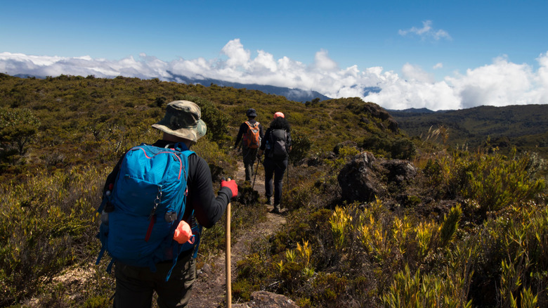Un groupe de randonneurs marchant au-dessus des nuages ​​dans les montagnes du Costa Rica