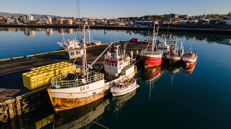 Des bateaux amarrés dans le port de Hafnarfjörður