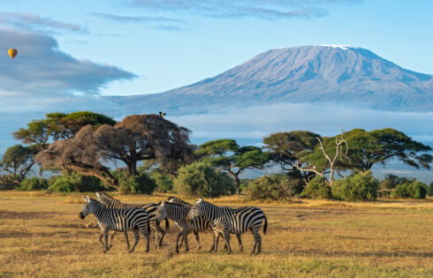 L'un des meilleurs pays du monde à voir la faune est un lieu chaleureux en Afrique avec des équipements de classe mondiale