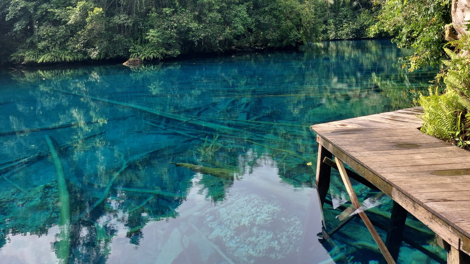 Le lac le plus bleu en Indonésie est un paradis caché à couper le souffle mieux connu sous le nom de «Mirror of the Sky»