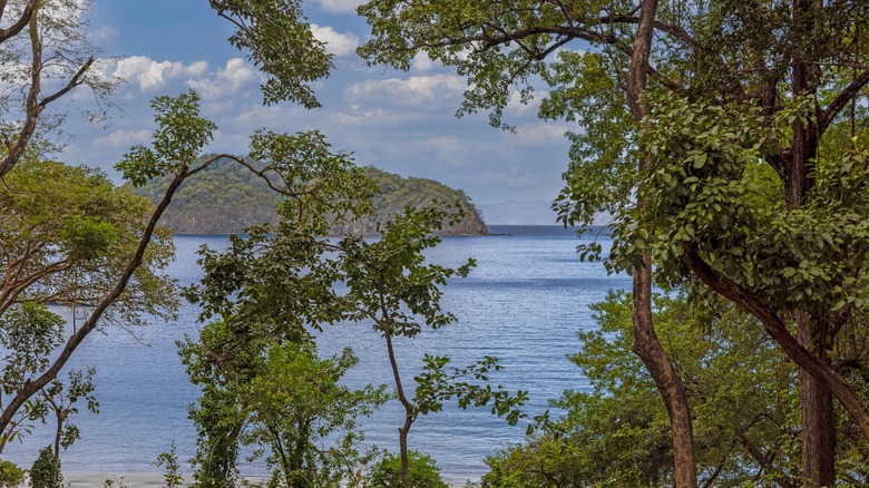 Vue de l'océan depuis Nekajui