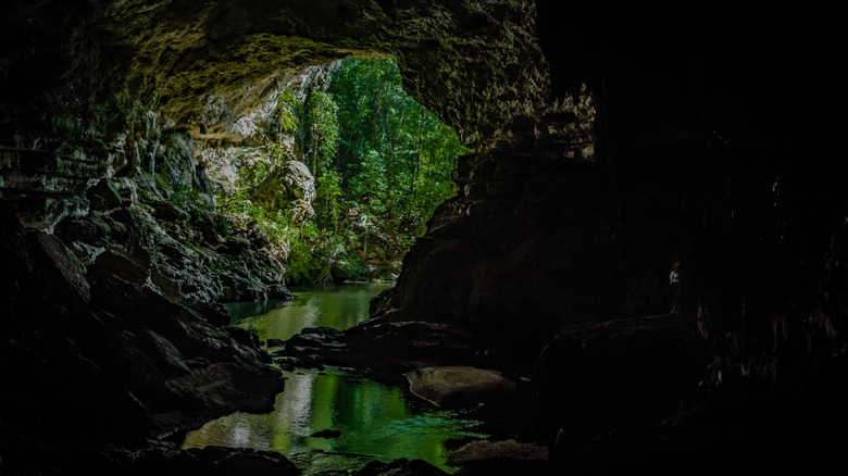 Entrée de Rio Frio Cave et Verdant Forest