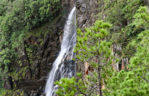 L'une des plus hautes cascades d'Amérique centrale se cache dans une forêt du Belize de piscines et d'aventure cristallines