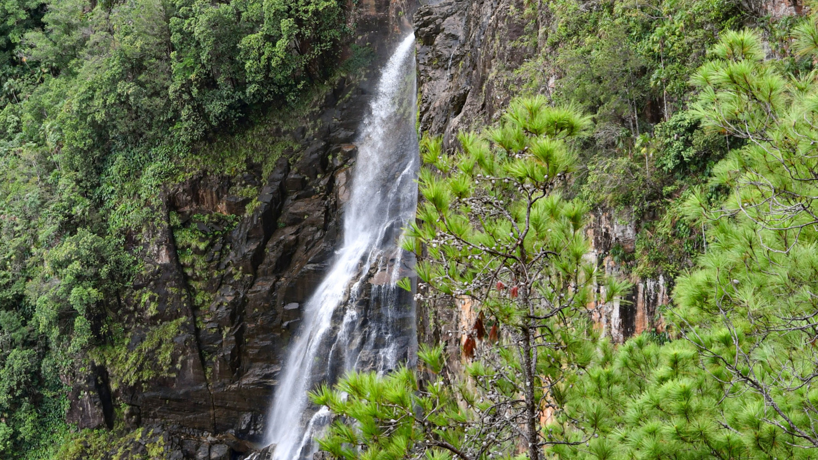 L'une des plus hautes cascades d'Amérique centrale se cache dans une forêt du Belize de piscines et d'aventure cristallines