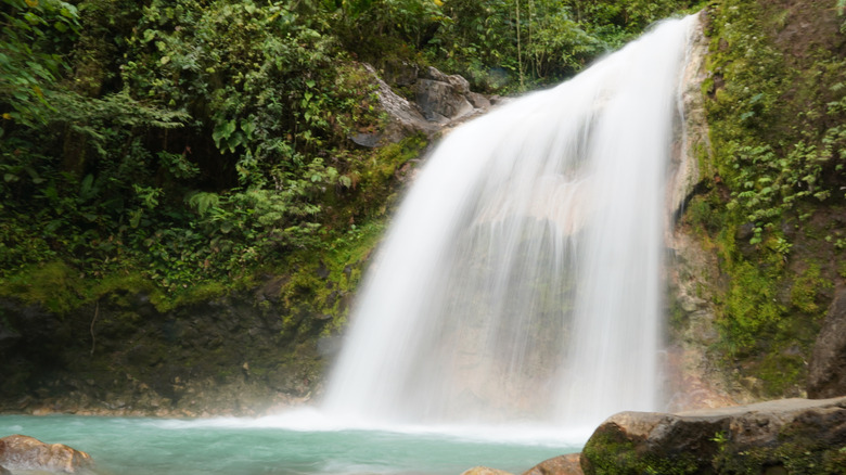 Cascades dans la région de Bajos del Toro du Costa Rica