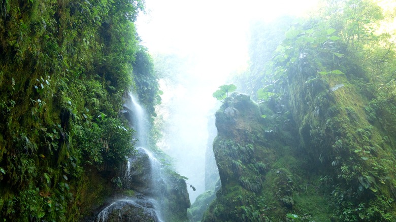 Suivez les eaux azure de Rio Barroso aux cascades de Quebrada Gata au Costa Rica