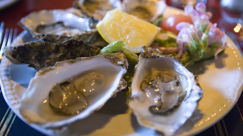 Assiette d'huîtres de Donegal sur la demi-coquille avec du citron