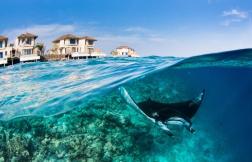 L'hôtel de luxe aux Maldives qui héberge une retraite unique de Manta Ray