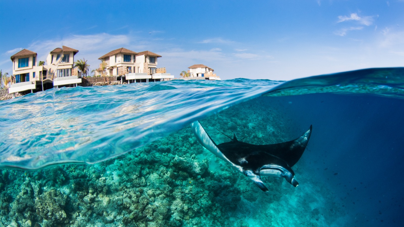 L'hôtel de luxe aux Maldives qui héberge une retraite unique de Manta Ray