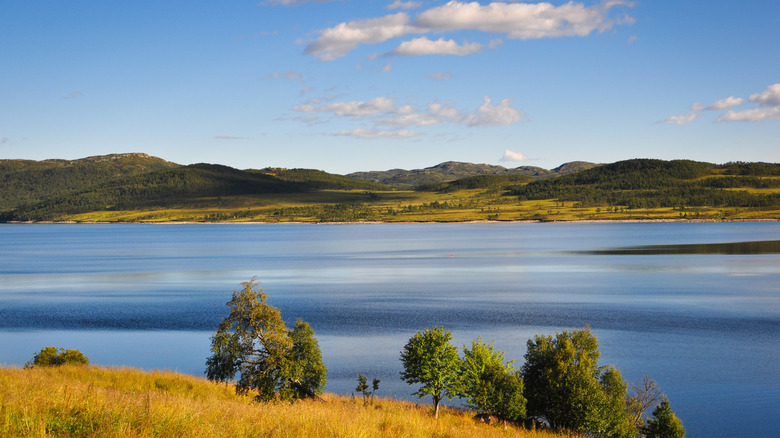 ciel clair au bord du lac dans le parc national de Hardangevidda, Norvège