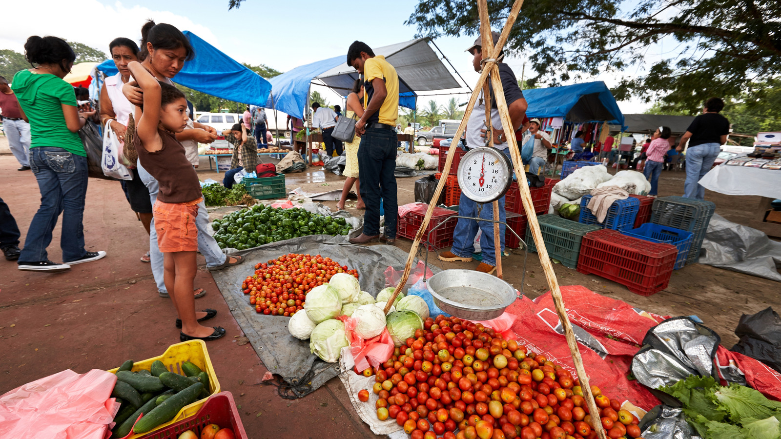 Le marché sous-estimé du Belize où les habitants se rassemblent pour les produits faits à la main et les produits frais alléchants