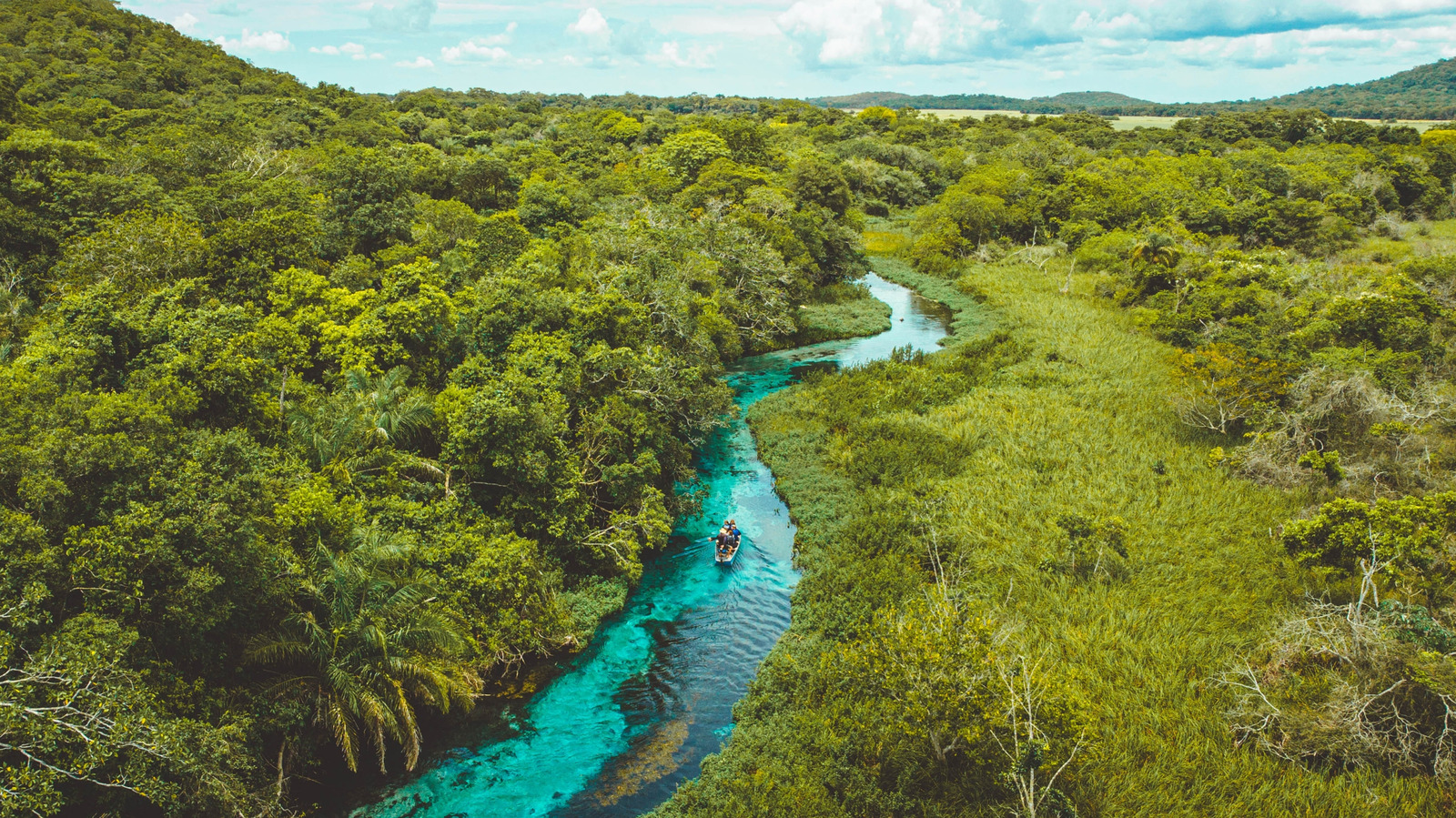 L'une des rivières les plus transparentes au monde est un paradis de plongée à la base de printemps au Brésil