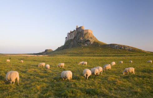 Le comté le plus au nord de l'Angleterre possède des paysages pittoresques, des châteaux et des magasins juste à la frontière écossaise