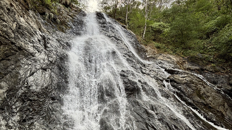 Une cascade dans le parc national Diria au Costa Rica