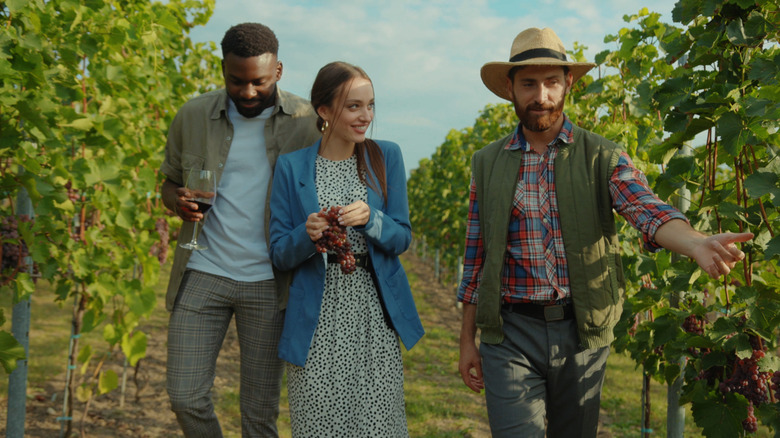 Couple en tournée de vin ayant une conversation avec le guide touristique
